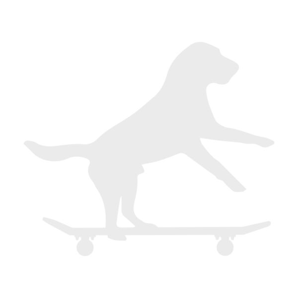 dog on skateboard Thumbnail